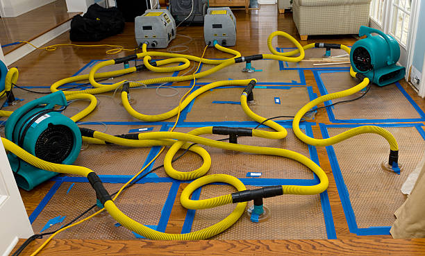 Professional Water Damage Restoration technician working in Eagan, MN
